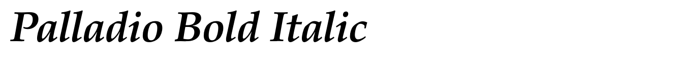 Palladio Bold Italic image